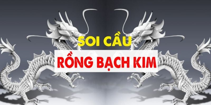 Soi Cầu Rồng Bạch Kim - Các Chiến Thuật Chọn Số Hay 2024